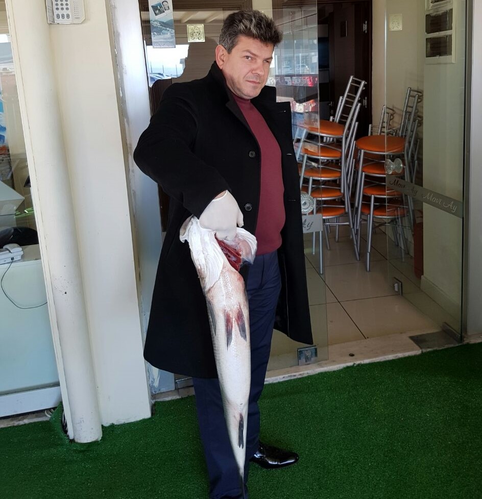 Sinop Deniz Levreği